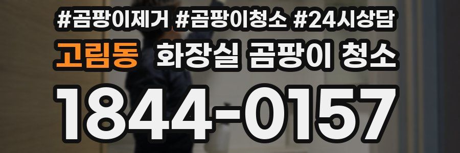 고림동 화장실 곰팡이 청소