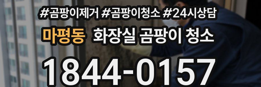마평동 화장실 곰팡이 청소