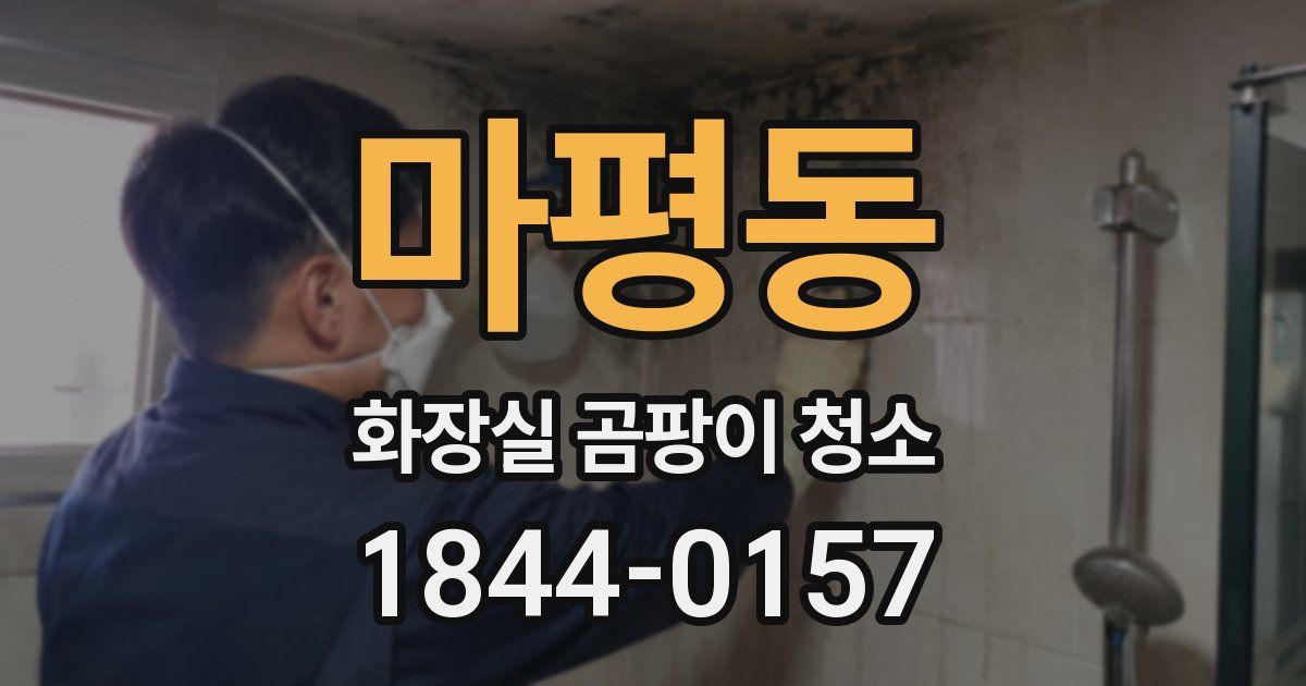 마평동 화장실 곰팡이 청소