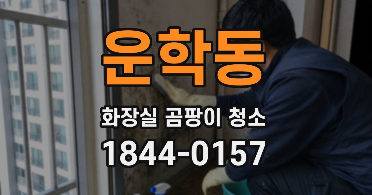 운학동 화장실 곰팡이 청소