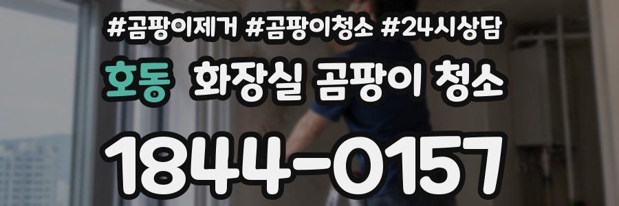 호동 화장실 곰팡이 청소