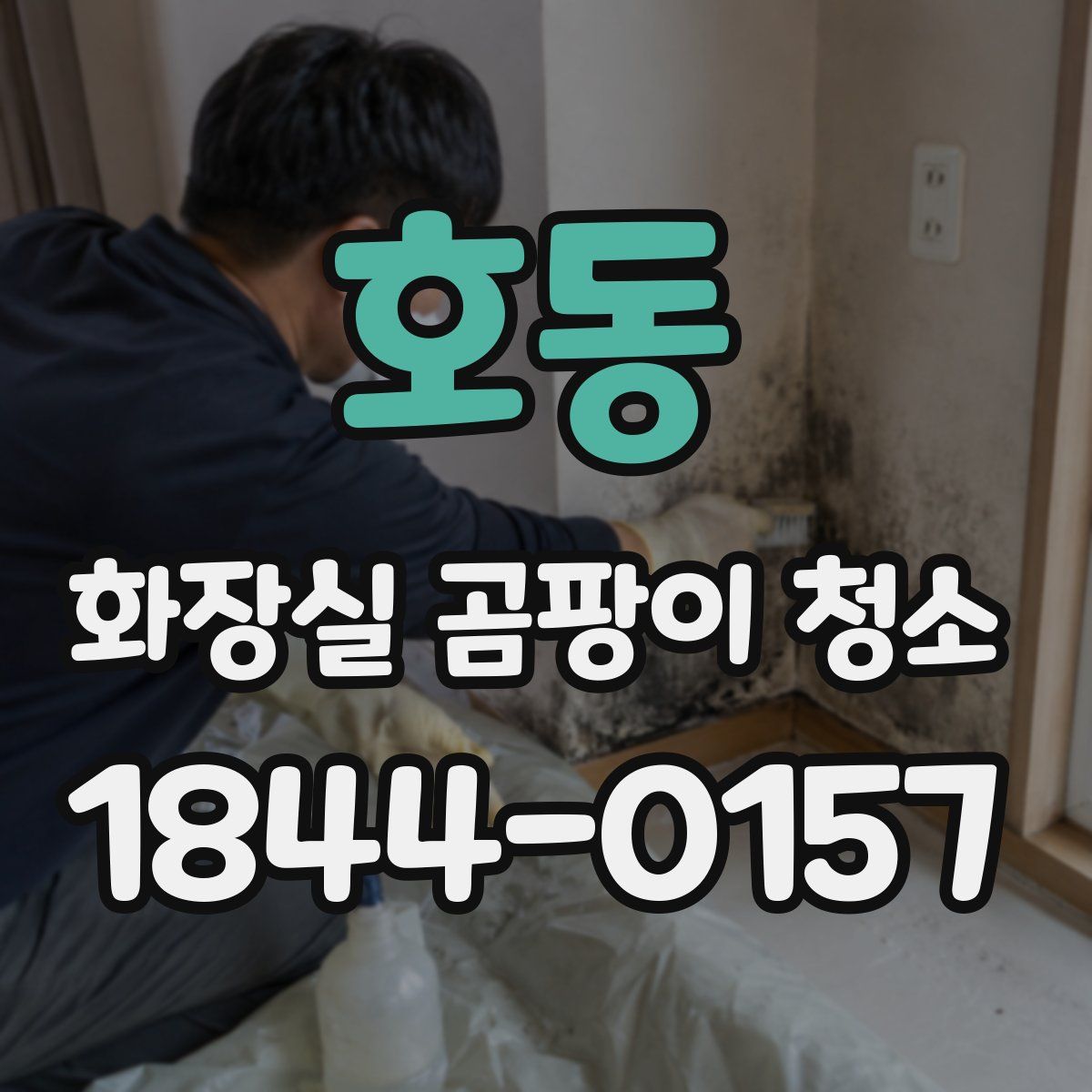 호동 화장실 곰팡이 청소