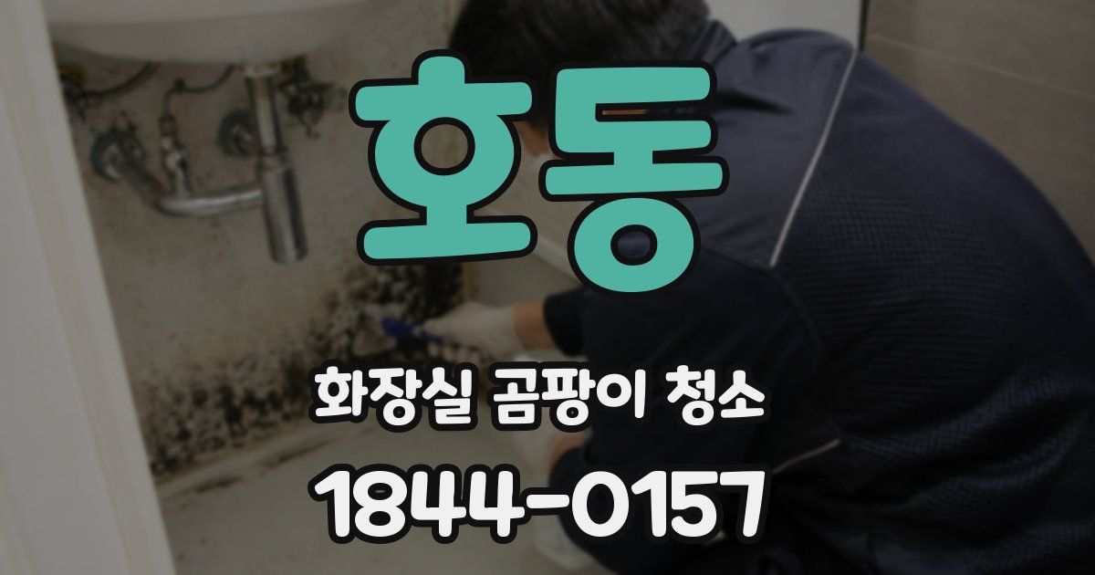 호동 화장실 곰팡이 청소