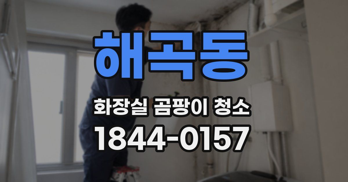 해곡동 화장실 곰팡이 청소