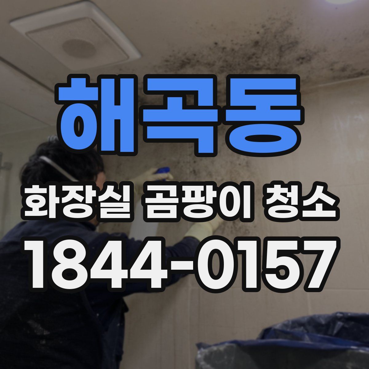 해곡동 화장실 곰팡이 청소