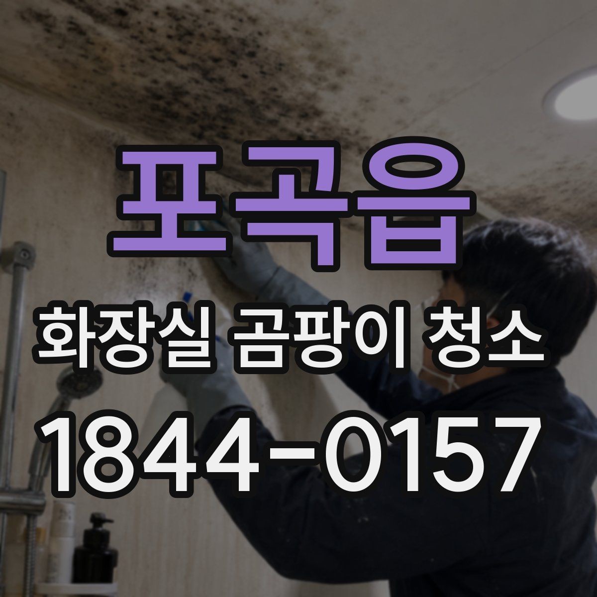 포곡읍 화장실 곰팡이 청소 물때와 검은 곰팡이를 나눠서 지우는 방법