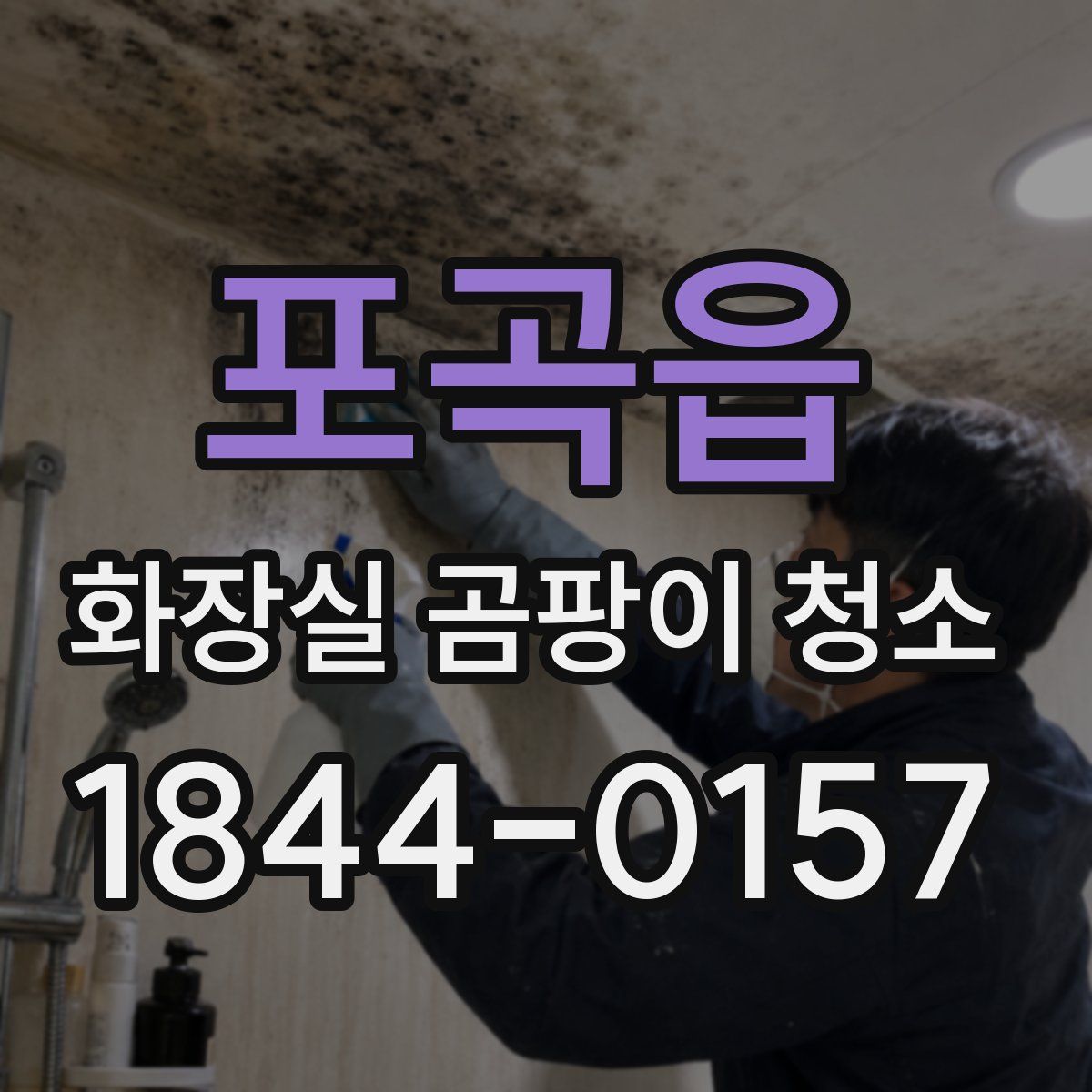 포곡읍 화장실 곰팡이 청소