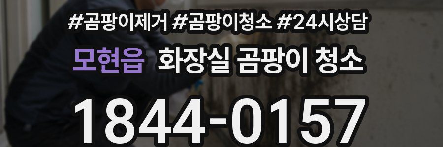모현읍 화장실 곰팡이 청소