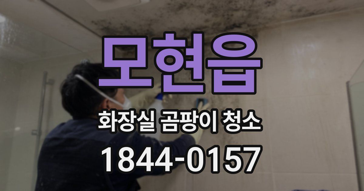 모현읍 화장실 곰팡이 청소