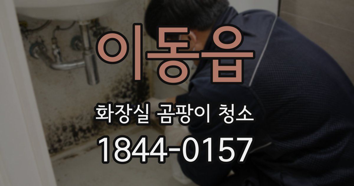 이동읍 화장실 곰팡이 청소