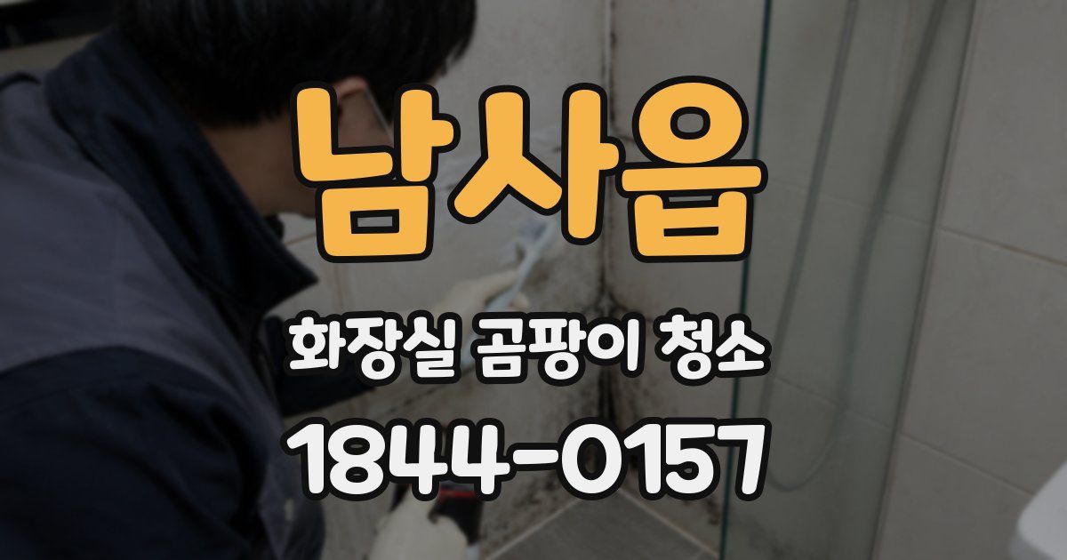 남사읍 화장실 곰팡이 청소
