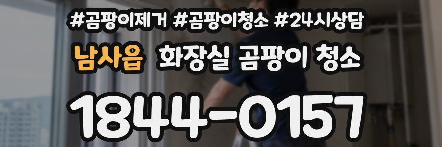 남사읍 화장실 곰팡이 청소