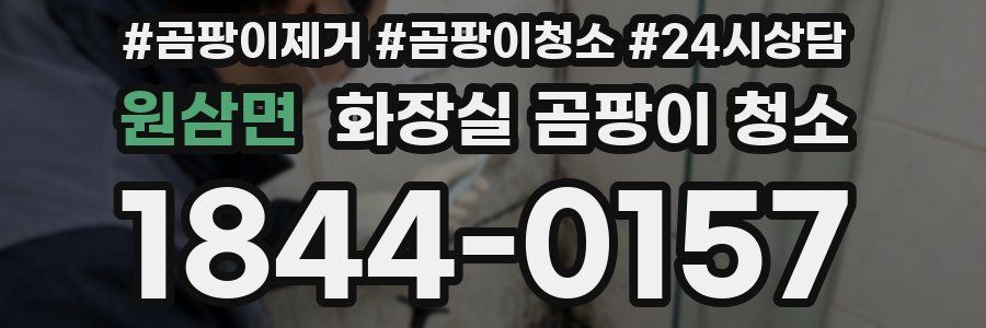 원삼면 화장실 곰팡이 청소