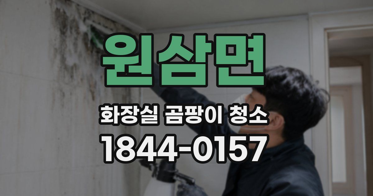 원삼면 화장실 곰팡이 청소
