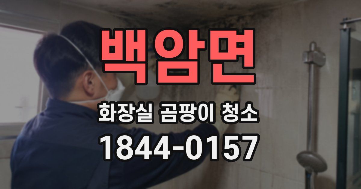 백암면 화장실 곰팡이 청소
