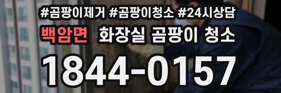 백암면 화장실 곰팡이 청소