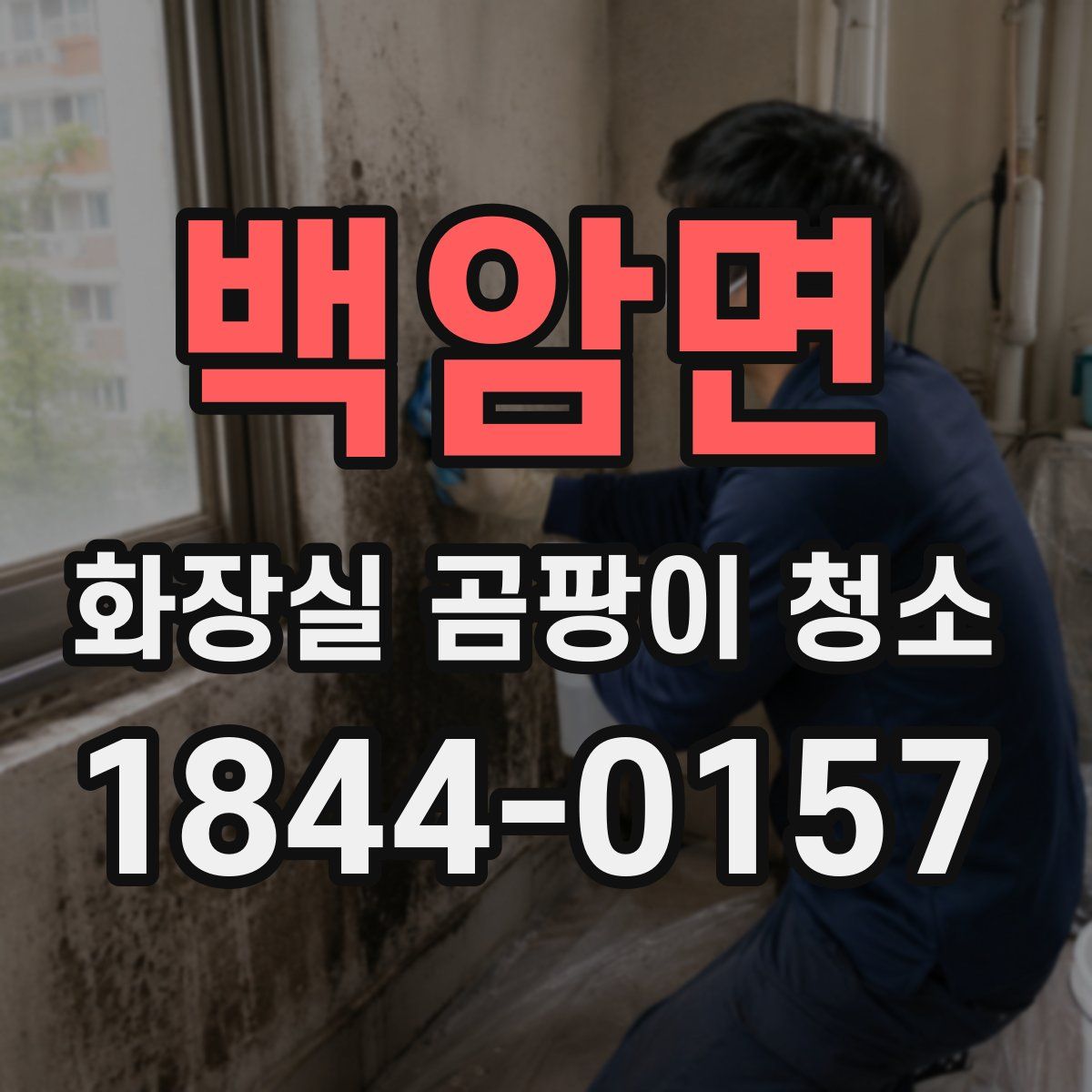 백암면 화장실 곰팡이 청소