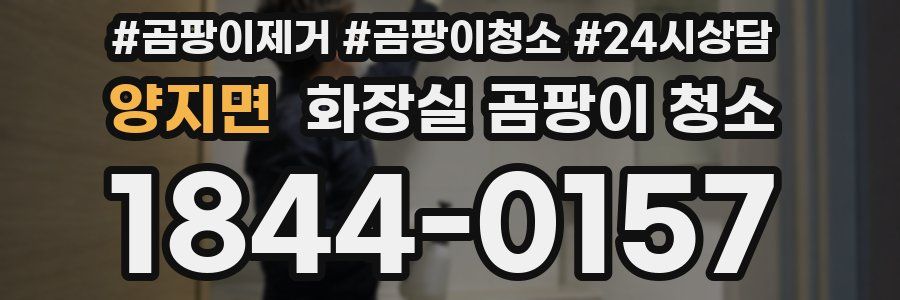 양지면 화장실 곰팡이 청소