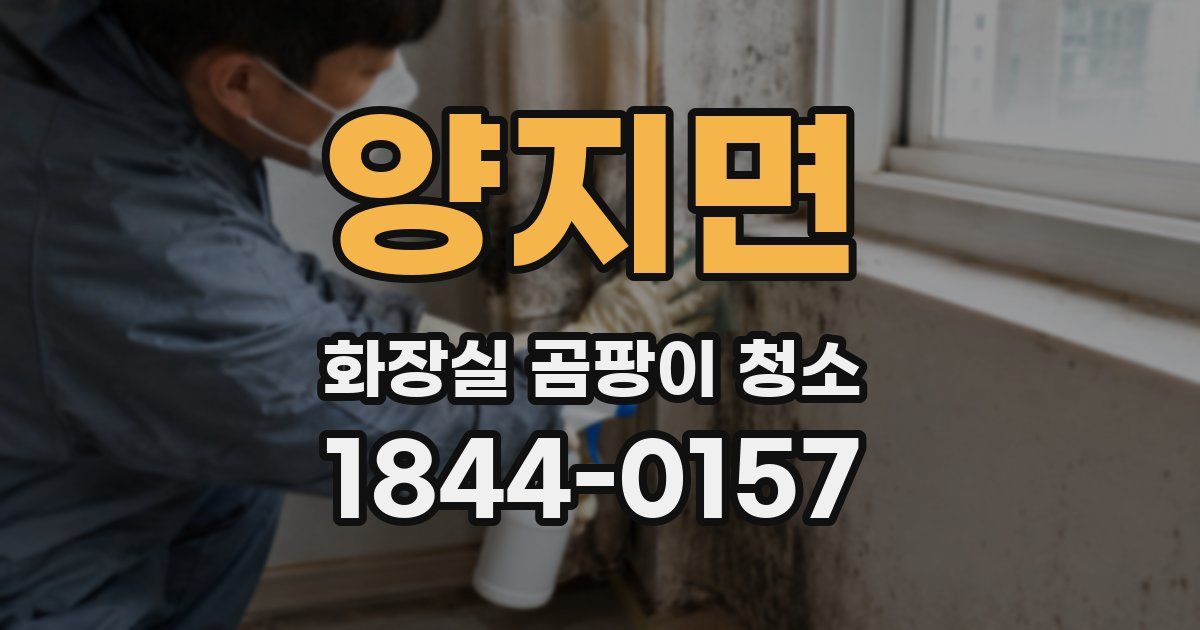 양지면 화장실 곰팡이 청소