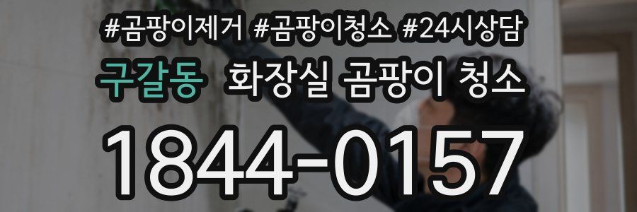 구갈동 화장실 곰팡이 청소