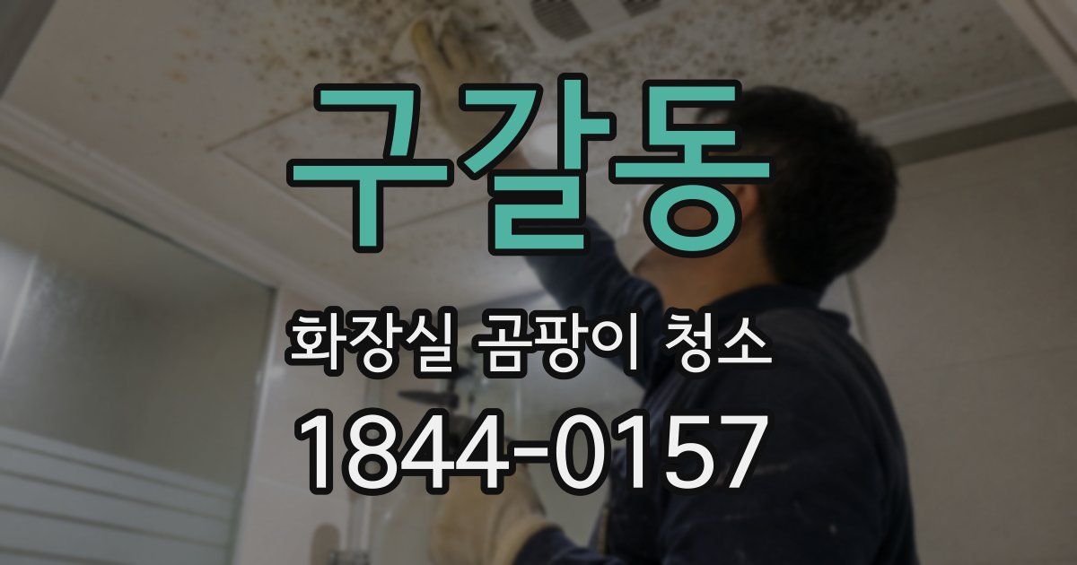 구갈동 화장실 곰팡이 청소