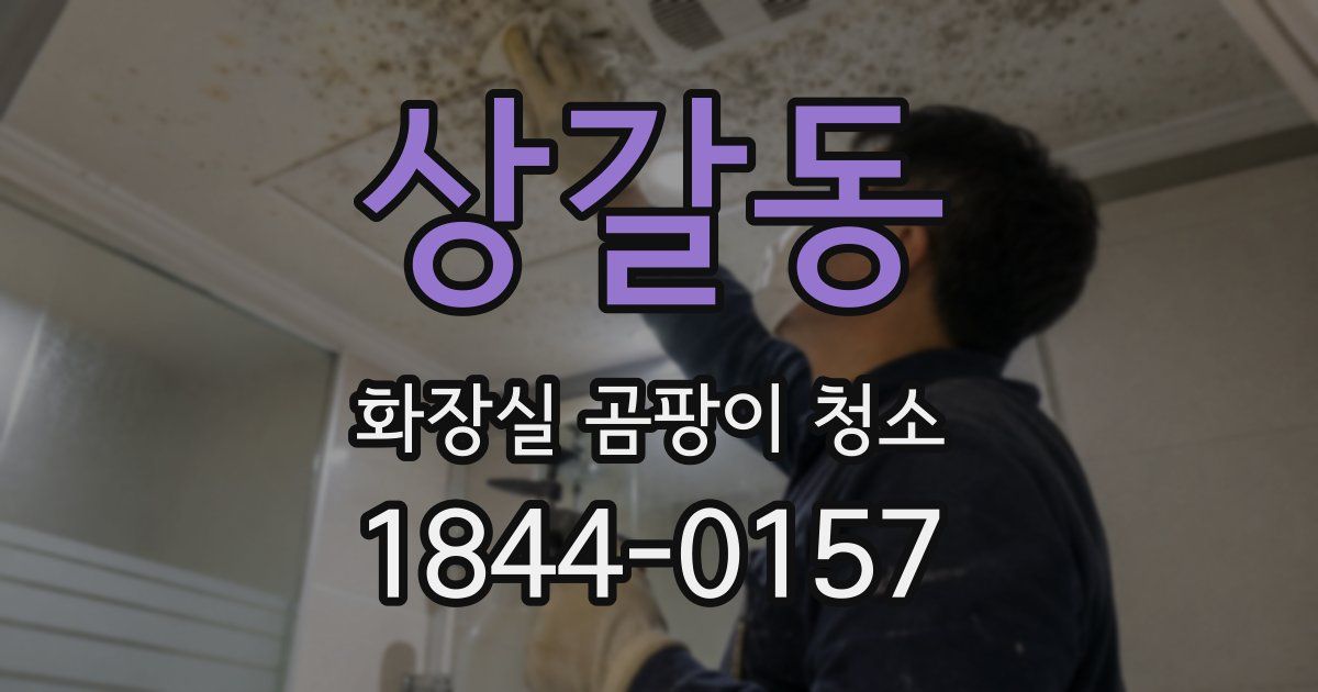 상갈동 화장실 곰팡이 청소
