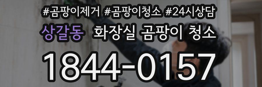 상갈동 화장실 곰팡이 청소