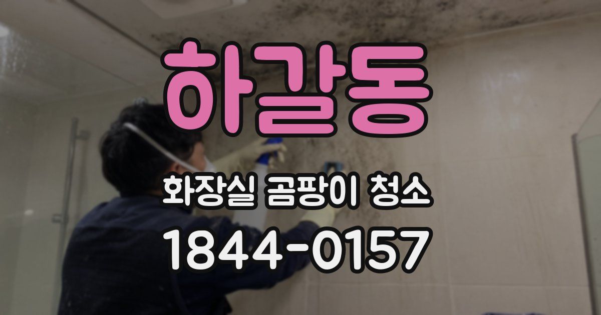 하갈동 화장실 곰팡이 청소