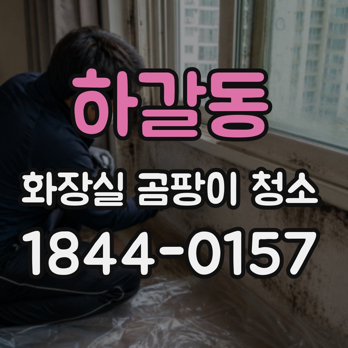 하갈동 화장실 곰팡이 청소