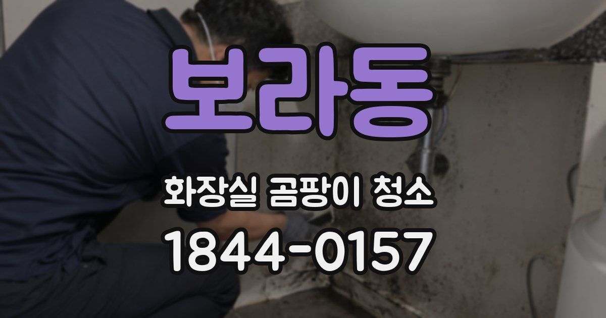 보라동 화장실 곰팡이 청소