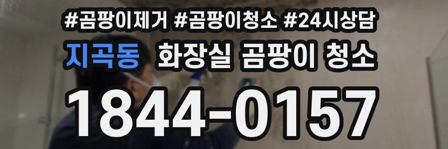 지곡동 화장실 곰팡이 청소