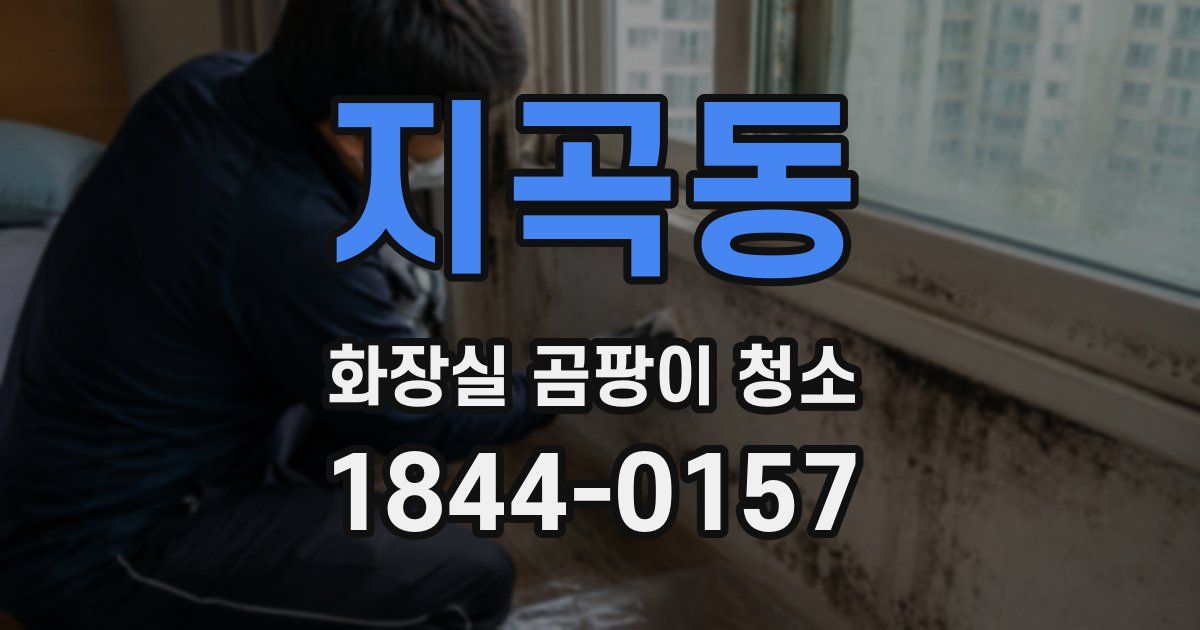 지곡동 화장실 곰팡이 청소