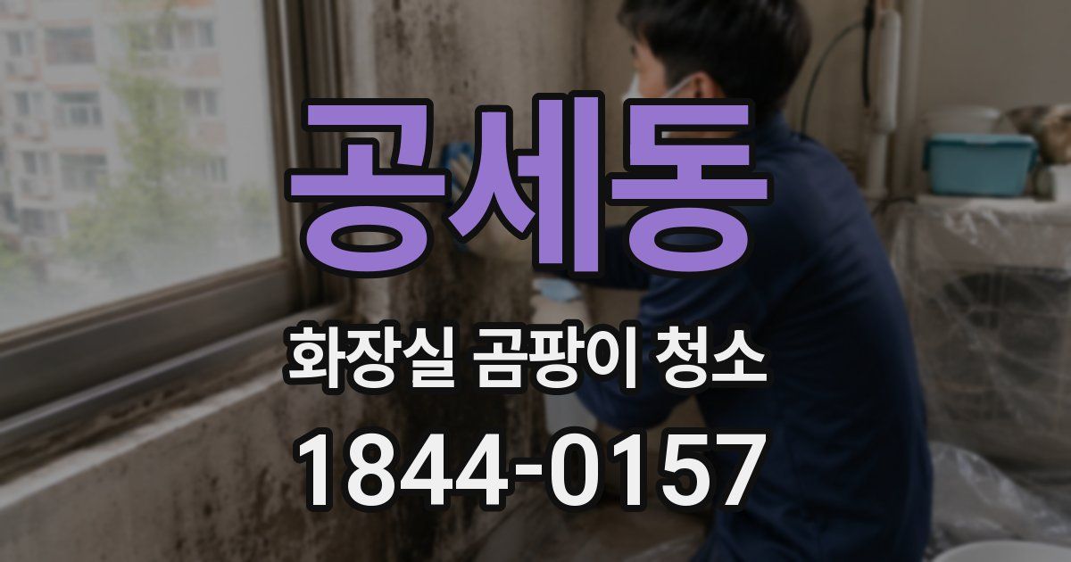 공세동 화장실 곰팡이 청소