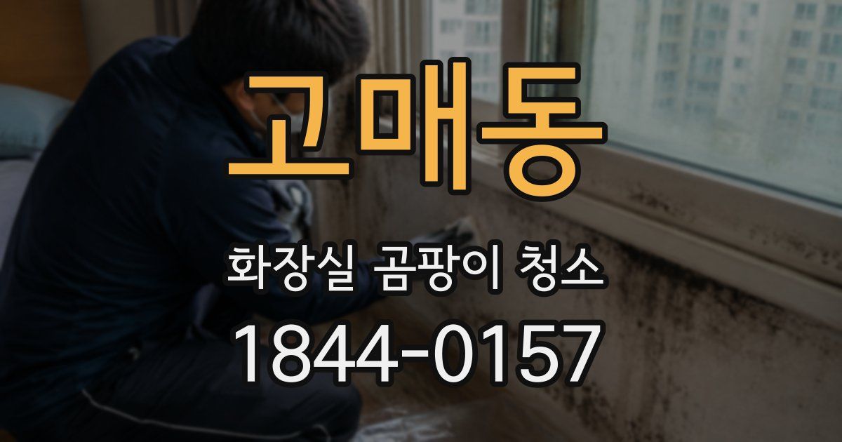 고매동 화장실 곰팡이 청소