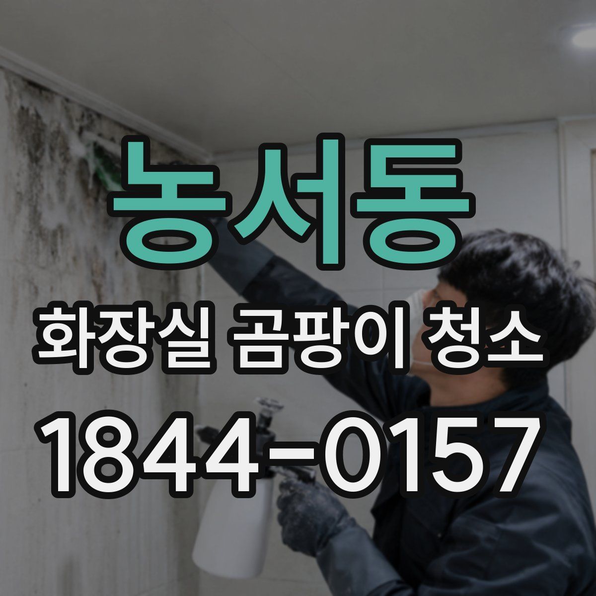 농서동 화장실 곰팡이 청소