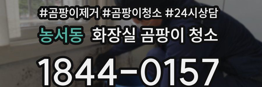 농서동 화장실 곰팡이 청소
