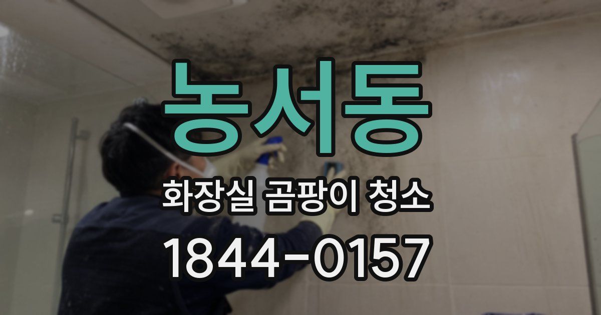농서동 화장실 곰팡이 청소
