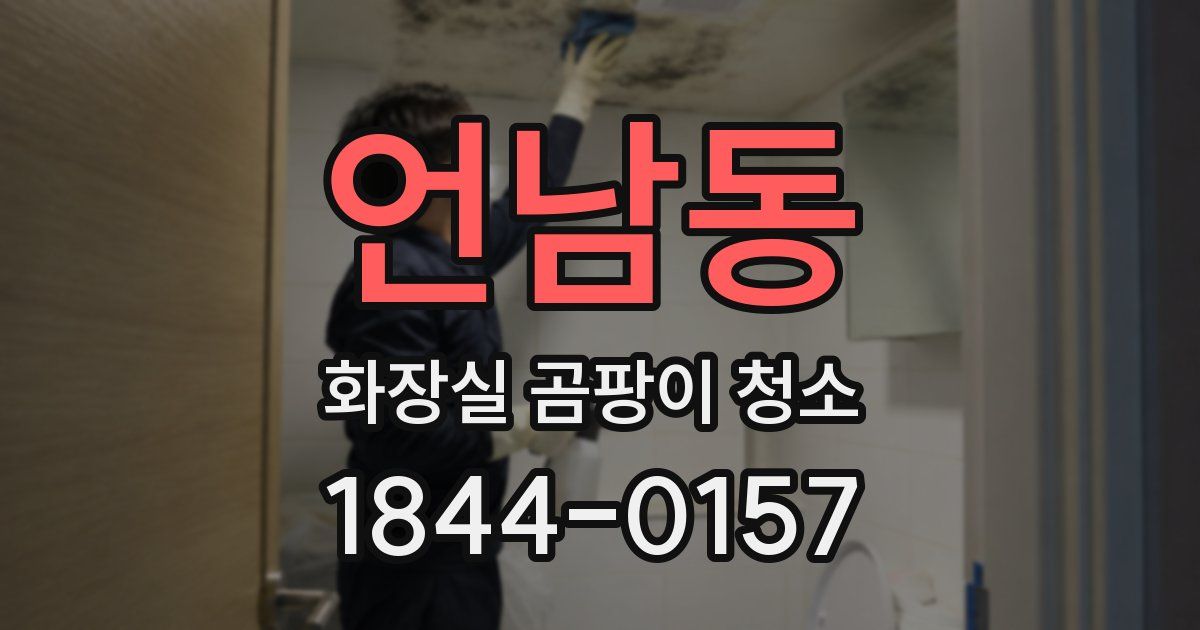 언남동 화장실 곰팡이 청소