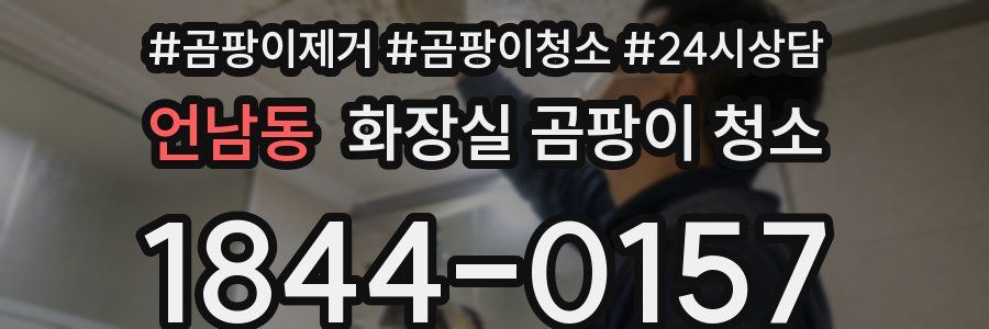 언남동 화장실 곰팡이 청소