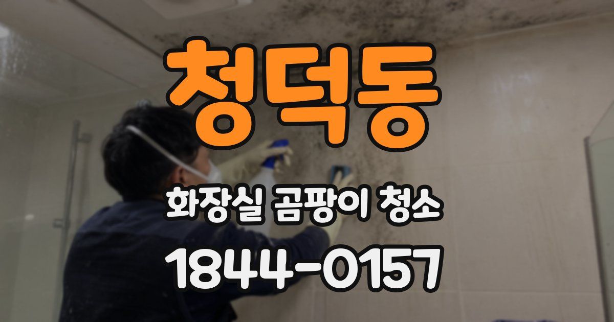 청덕동 화장실 곰팡이 청소