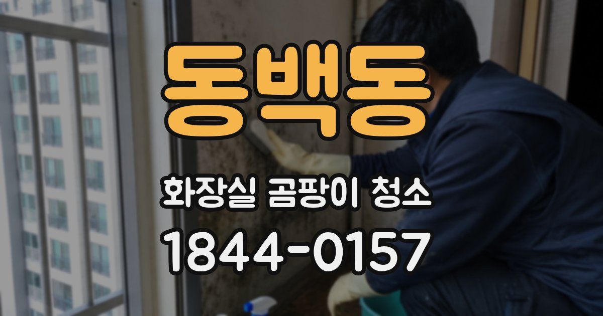 동백동 화장실 곰팡이 청소