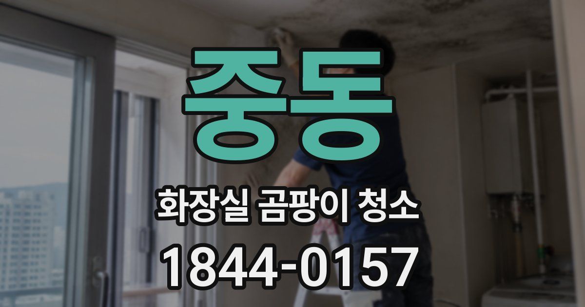중동 화장실 곰팡이 청소