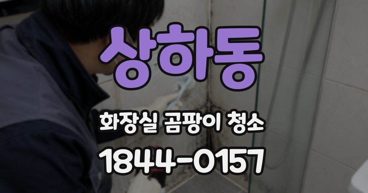 상하동 화장실 곰팡이 청소