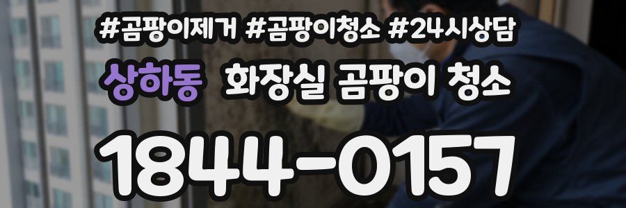 상하동 화장실 곰팡이 청소