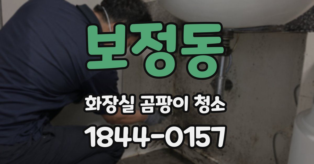 보정동 화장실 곰팡이 청소