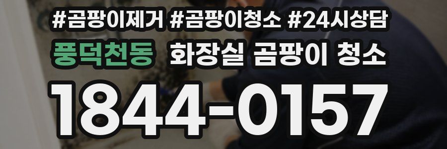 풍덕천동 화장실 곰팡이 청소