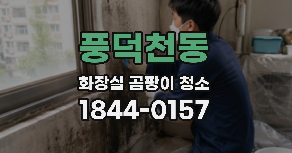 풍덕천동 화장실 곰팡이 청소