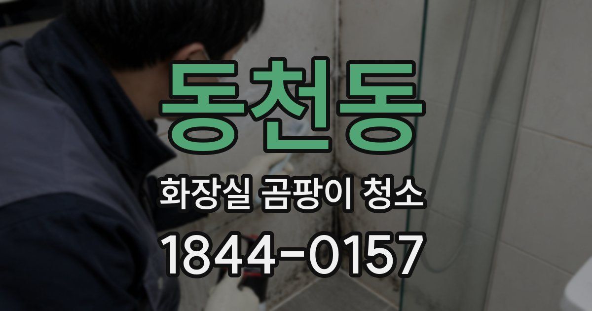 동천동 화장실 곰팡이 청소