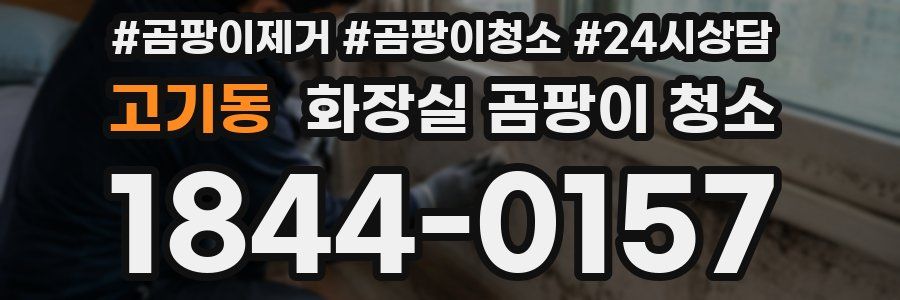 고기동 화장실 곰팡이 청소