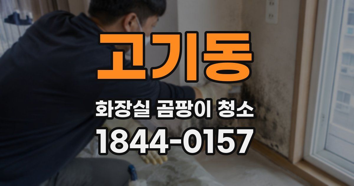 고기동 화장실 곰팡이 청소
